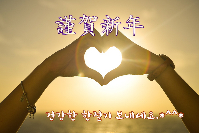 알씨 이미지