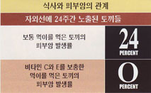 웰빙비타민 이미지