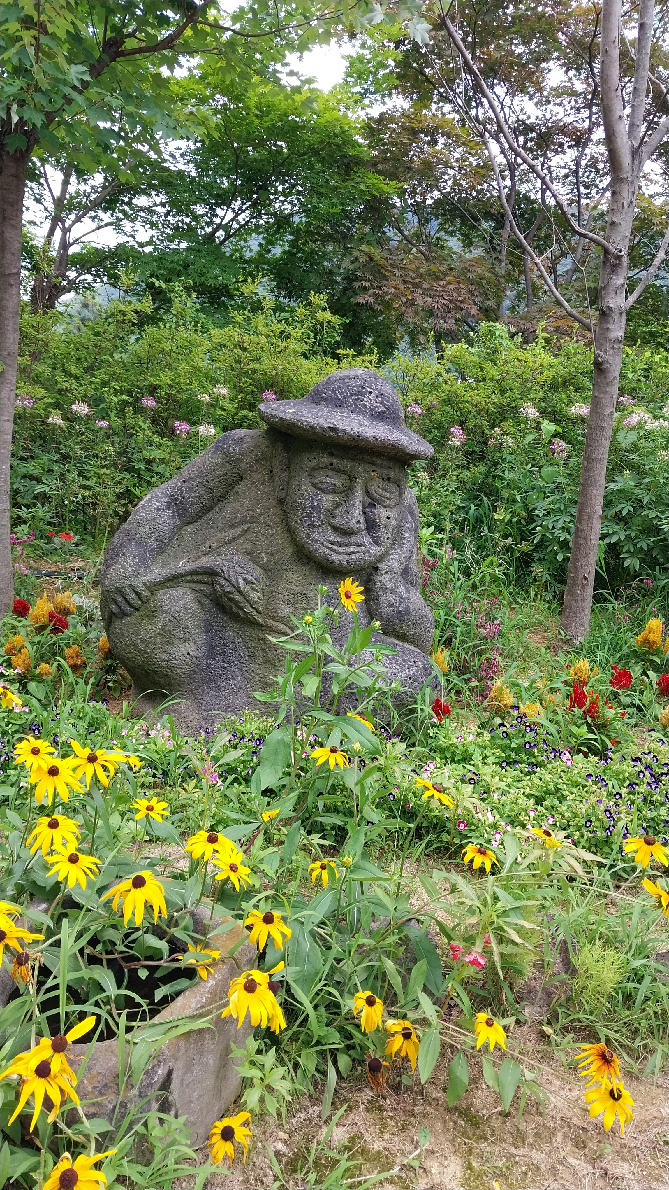카페화수목 이미지