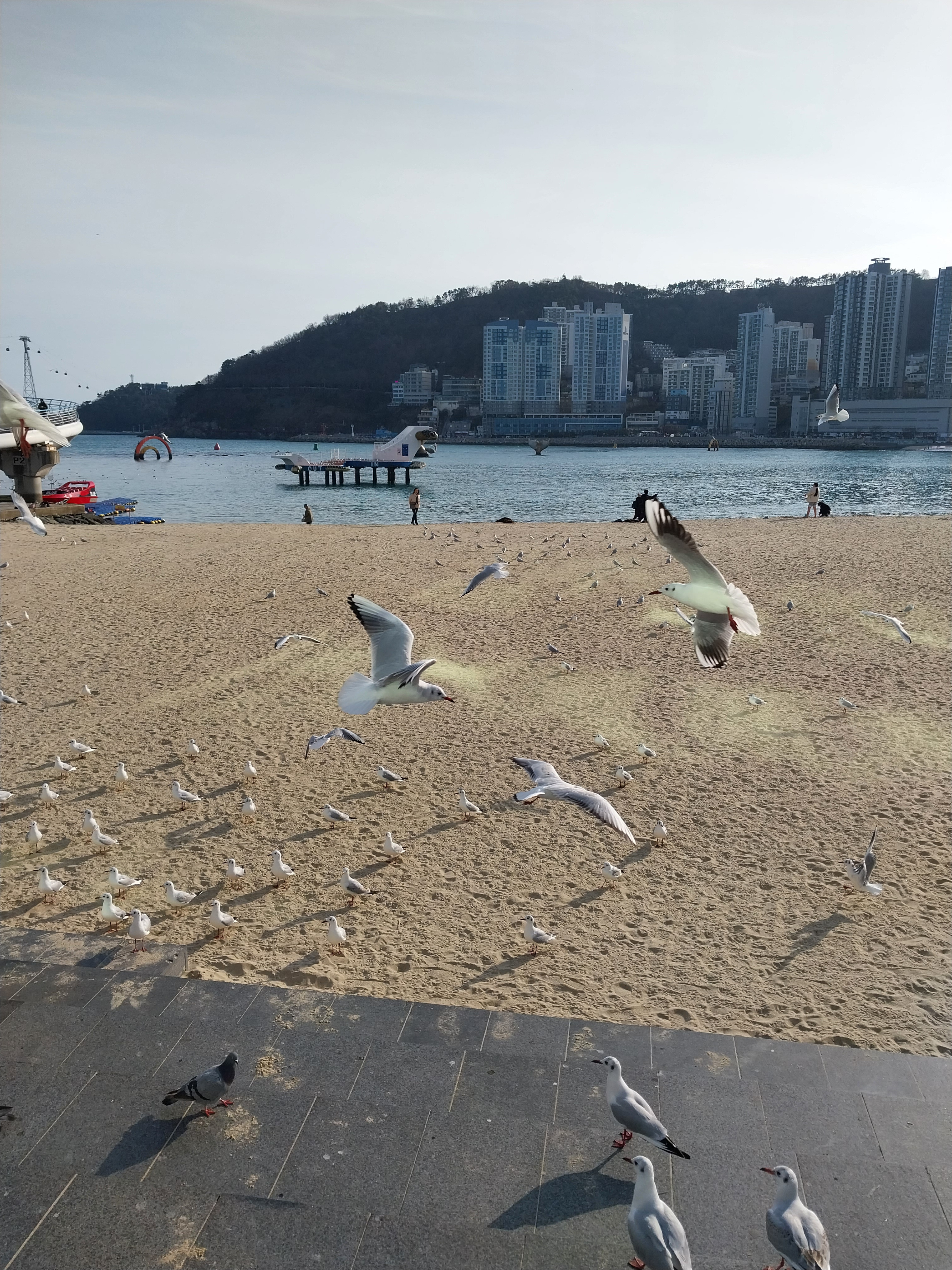 카페벗 이미지