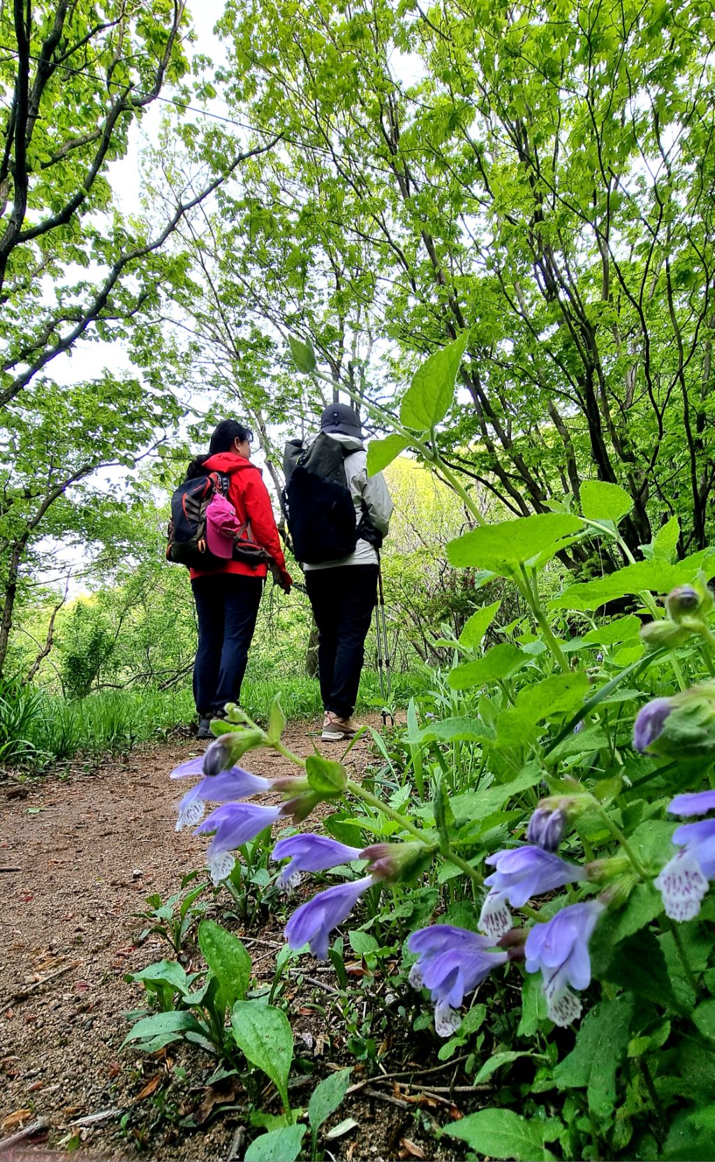 하늘정원 이미지