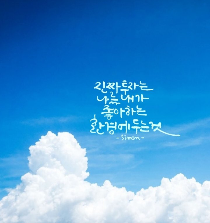 Daum 카페