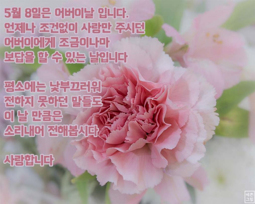 토요일 이미지