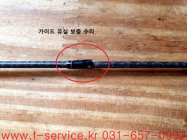 에버그린 이미지