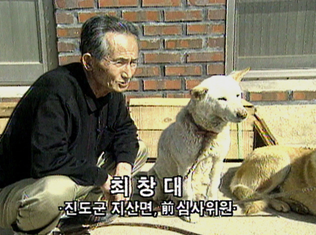 백구 이미지