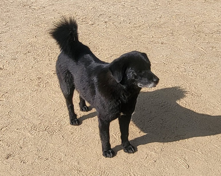 가운데 이미지