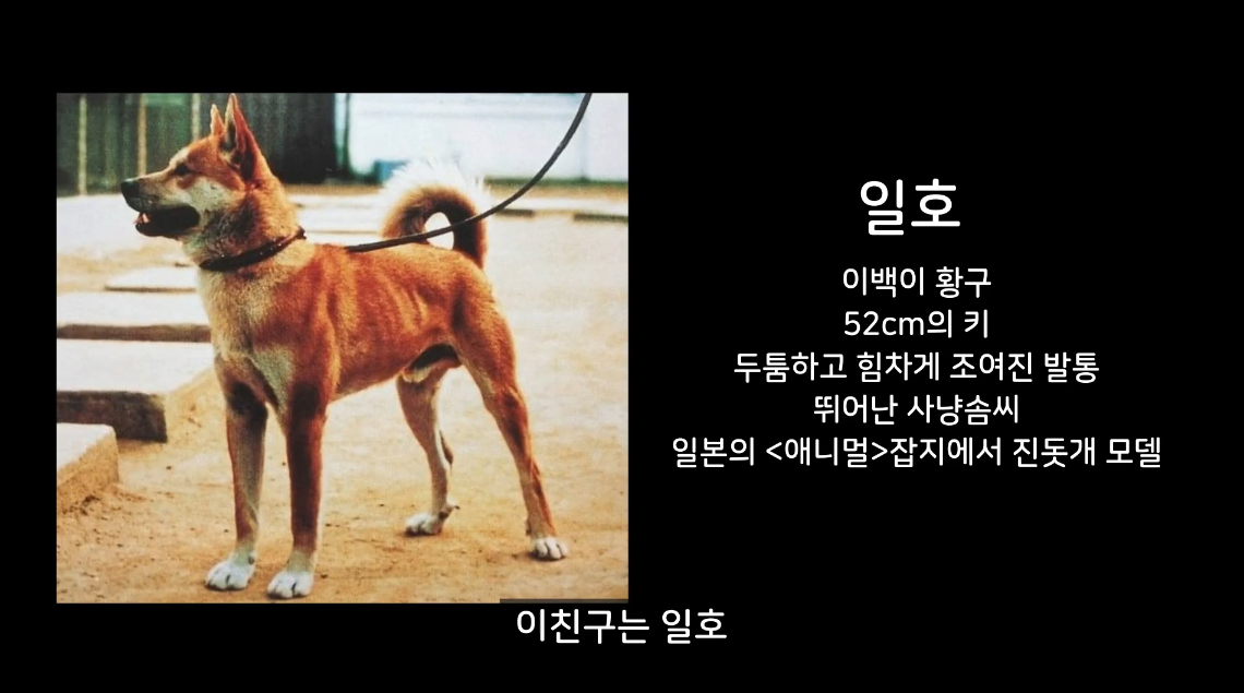 일호 이미지