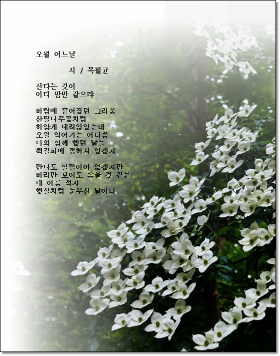 오월어느날 이미지