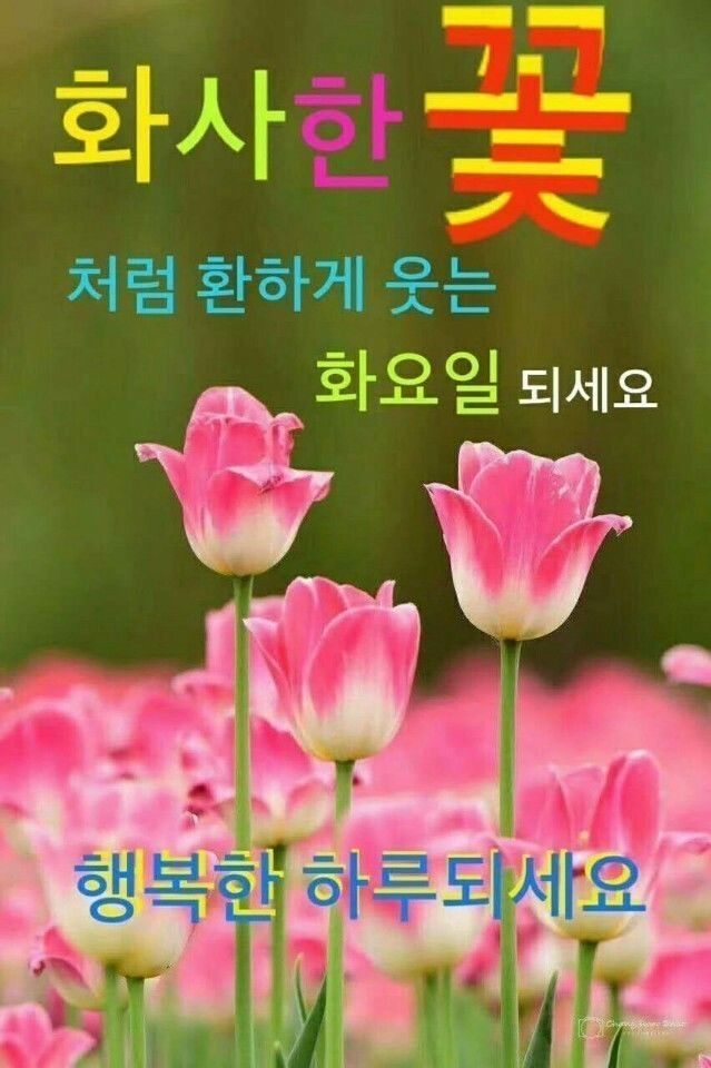 화요일 이미지