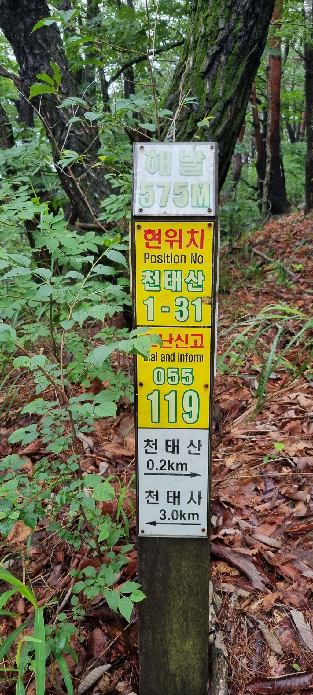 원동자연휴양림 이미지
