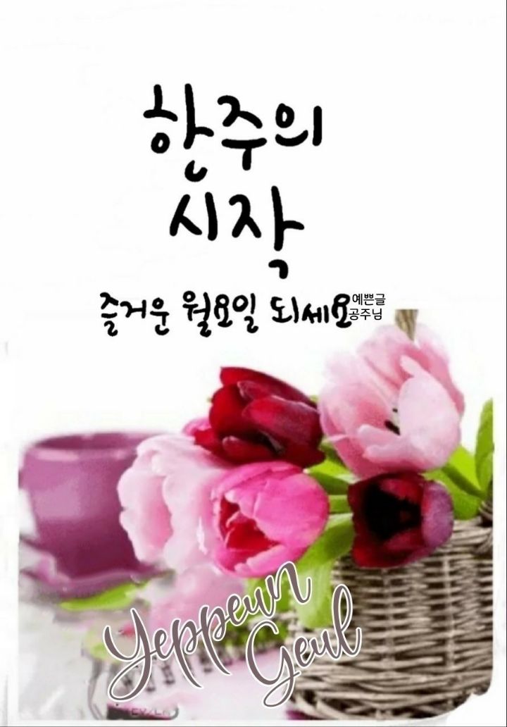 심상 이미지
