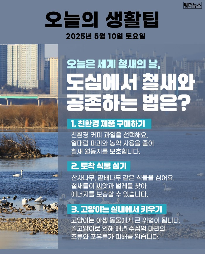초심 이미지