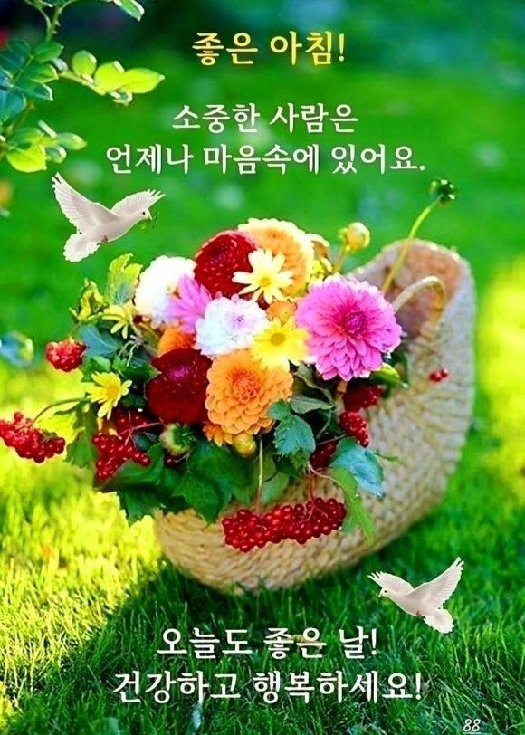 덕담 이미지