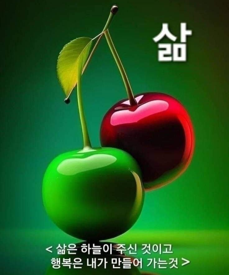 지혜상사 이미지
