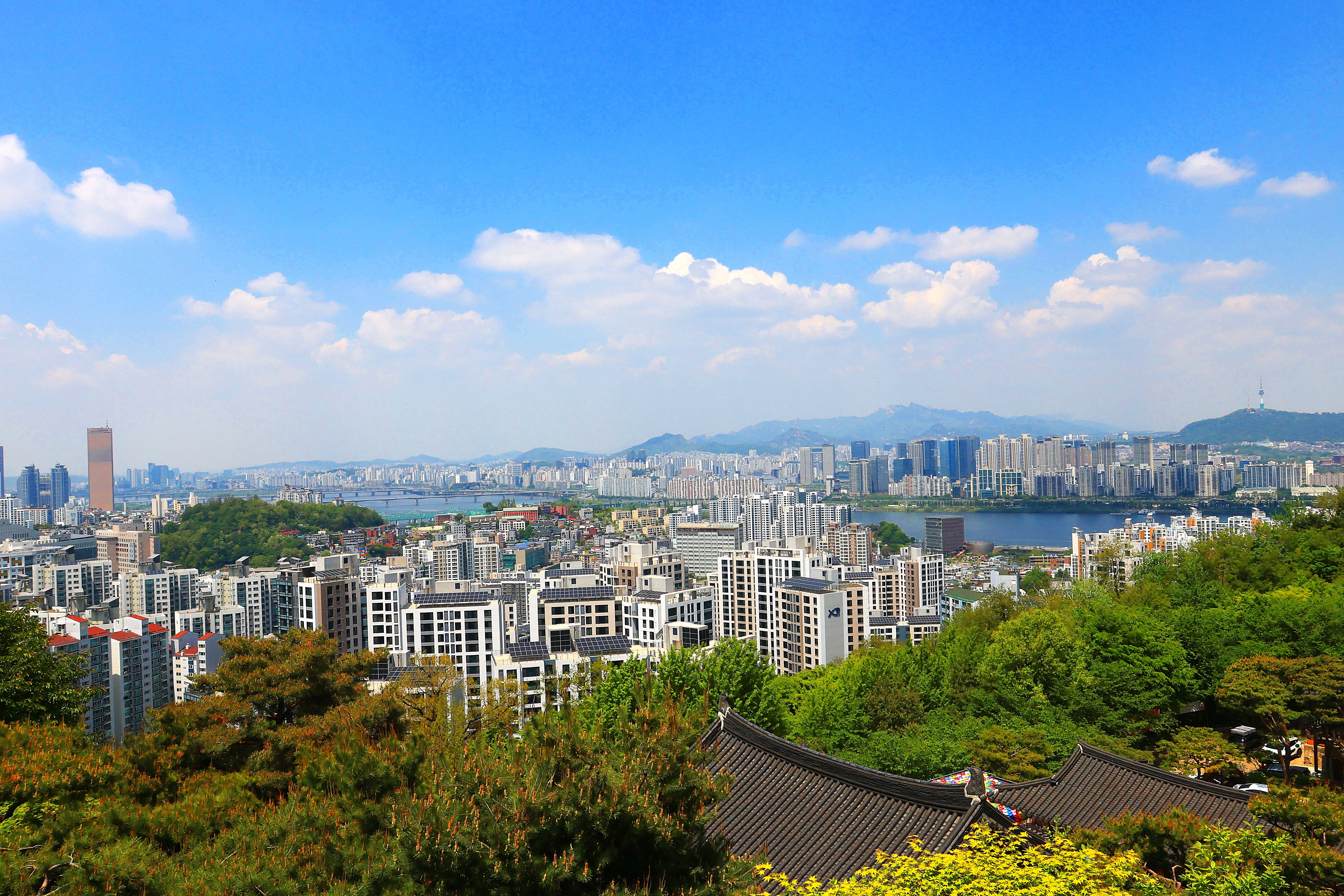 달마사 이미지