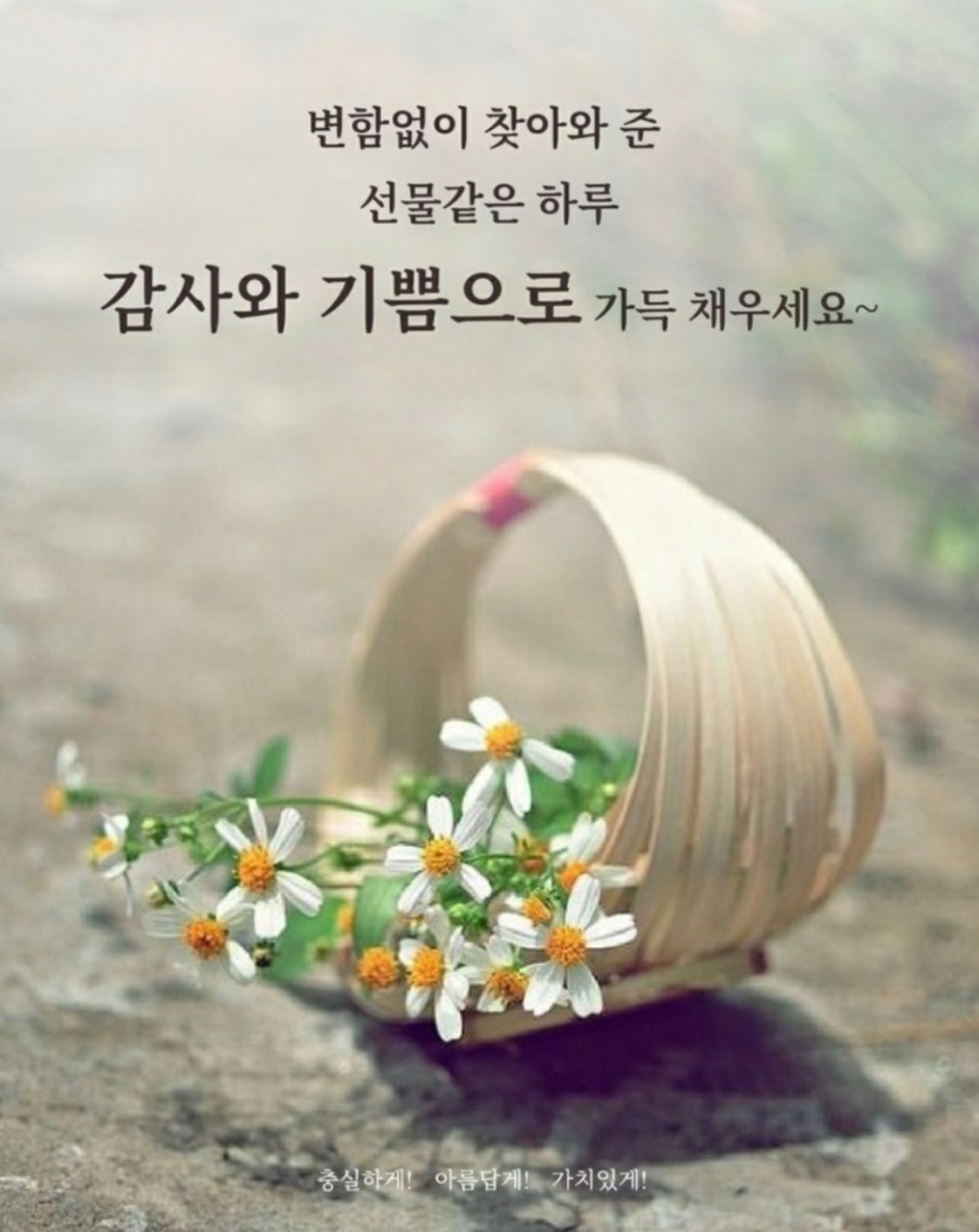 비옥 이미지