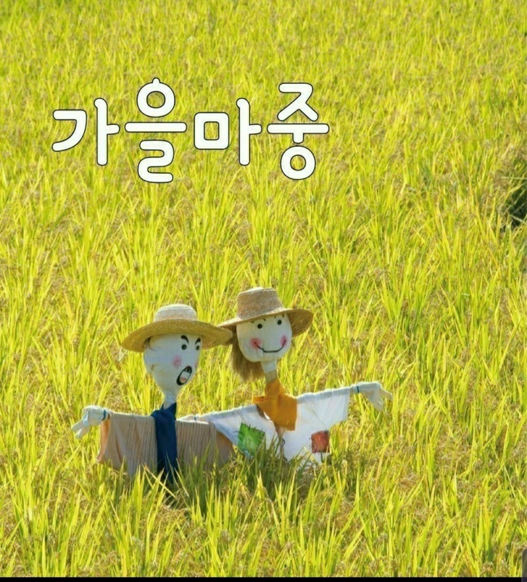 작은여우 이미지