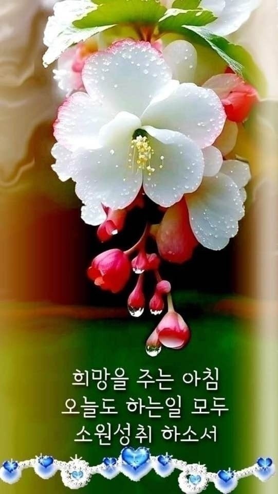 마음담아 이미지