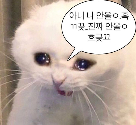 해민 이미지