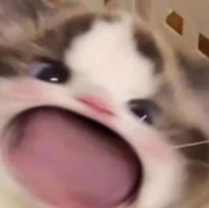 이브2 이미지