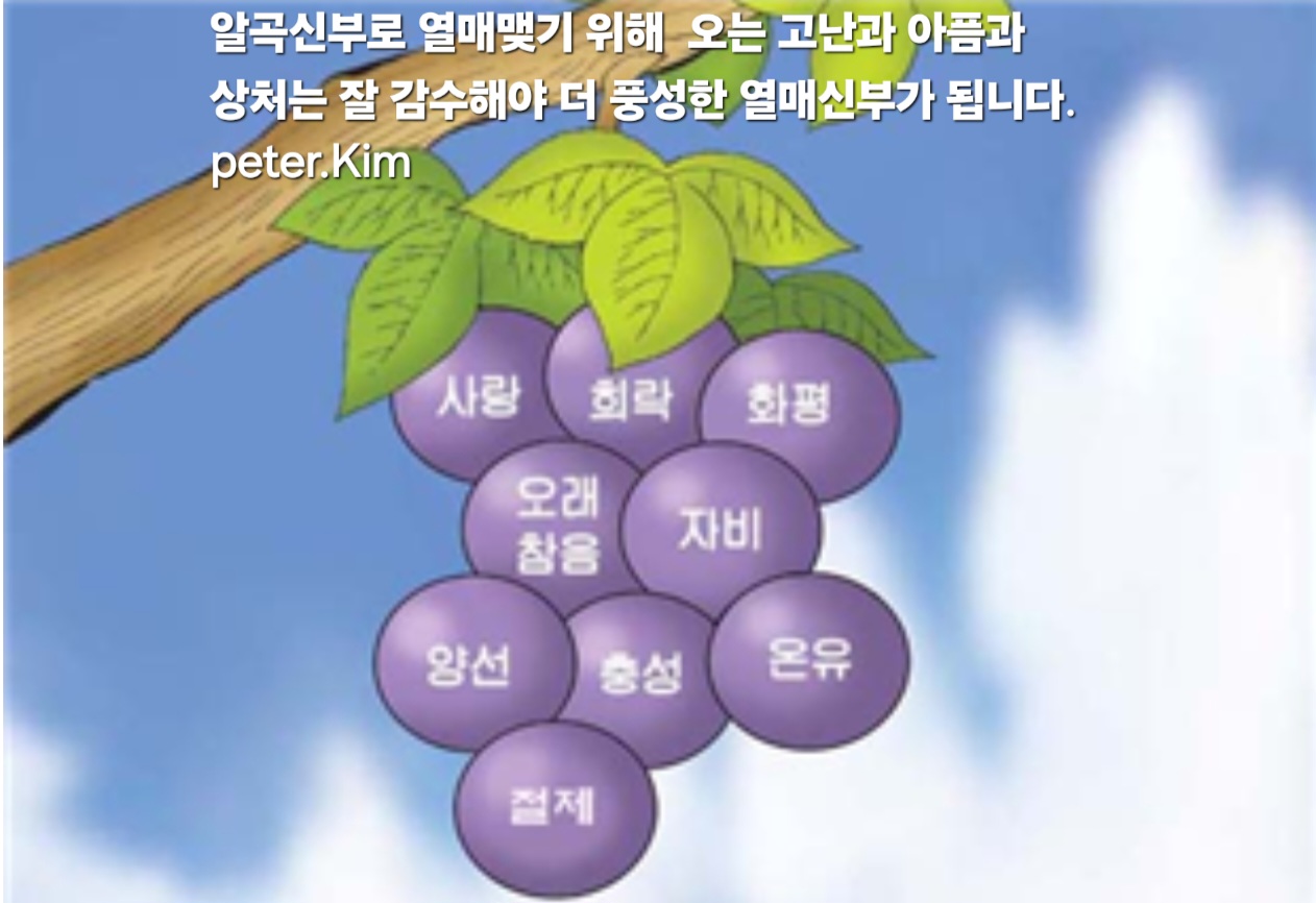 (주)반찬천국 이미지