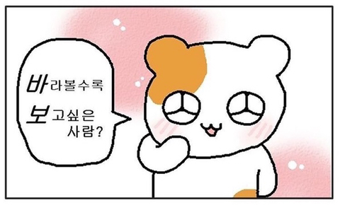 다민 이미지