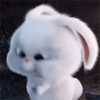 다민 이미지