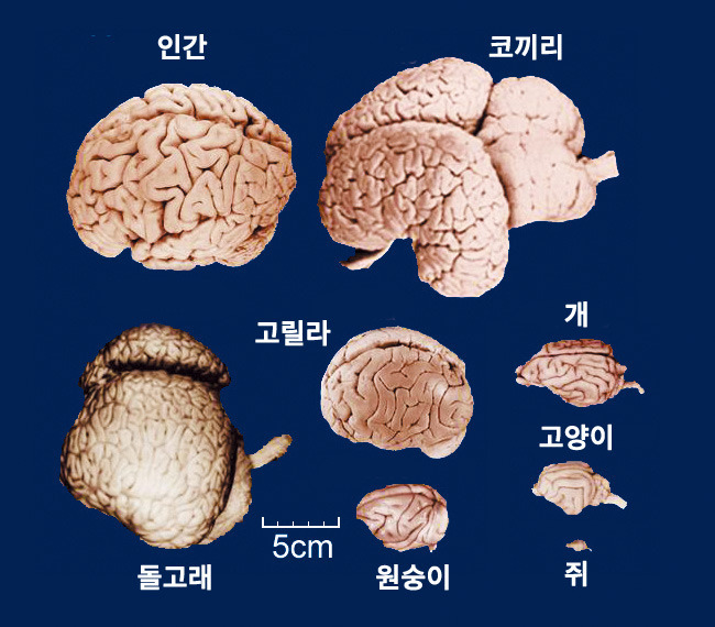 쿨노래바 이미지