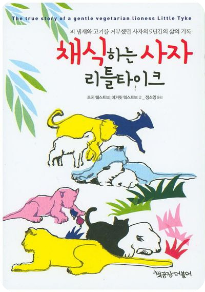 (주)사자네 이미지