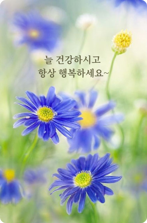 행복한 아침 이미지
