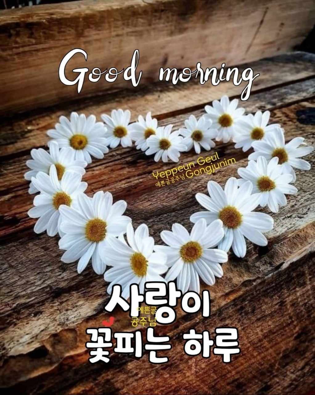 꽃피는하루 이미지