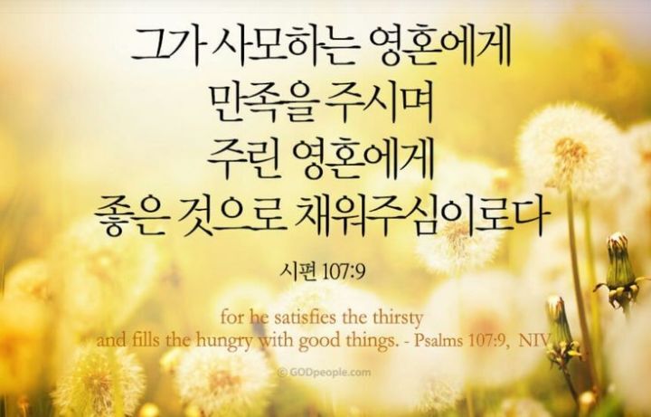 이야기꽃 이미지