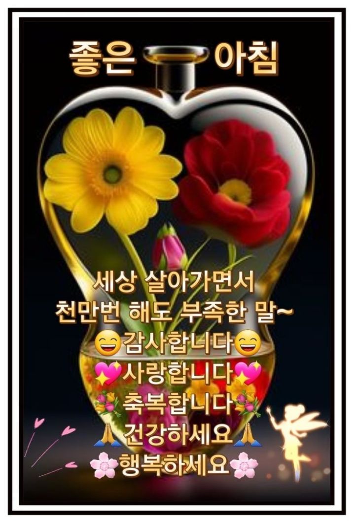 기쁨의시작 이미지