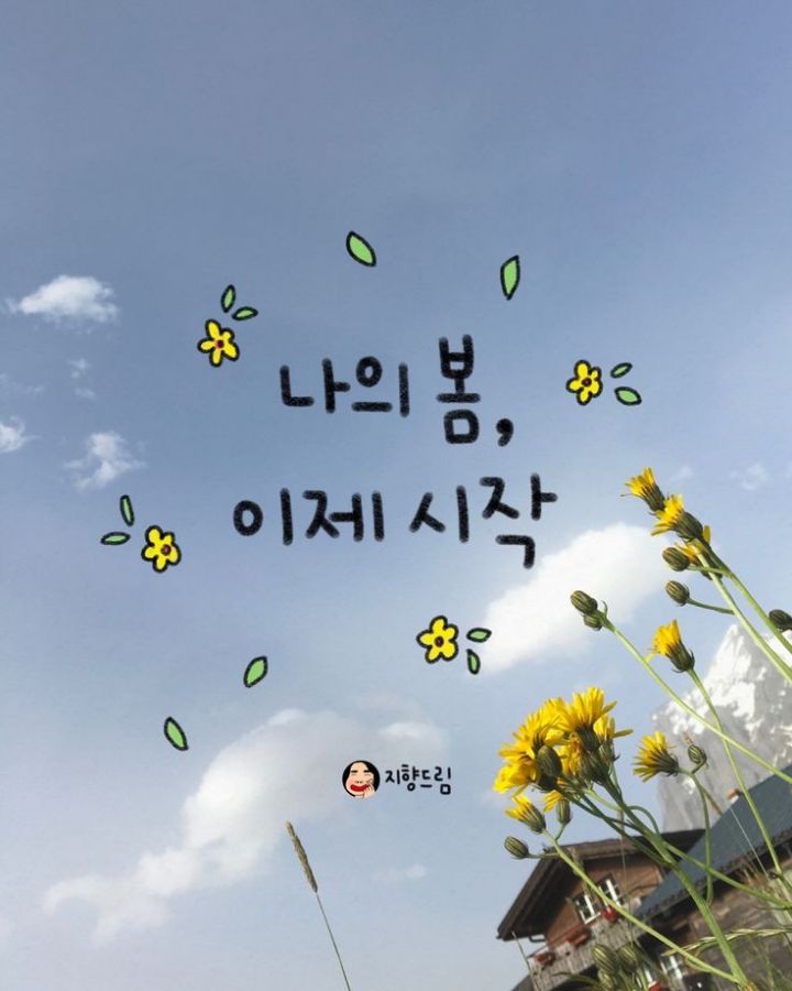 신선한 아침 이미지
