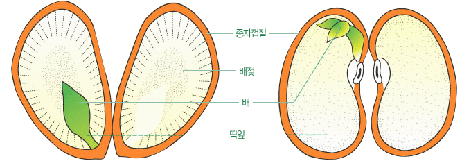 오늘도예쁜아이 이미지