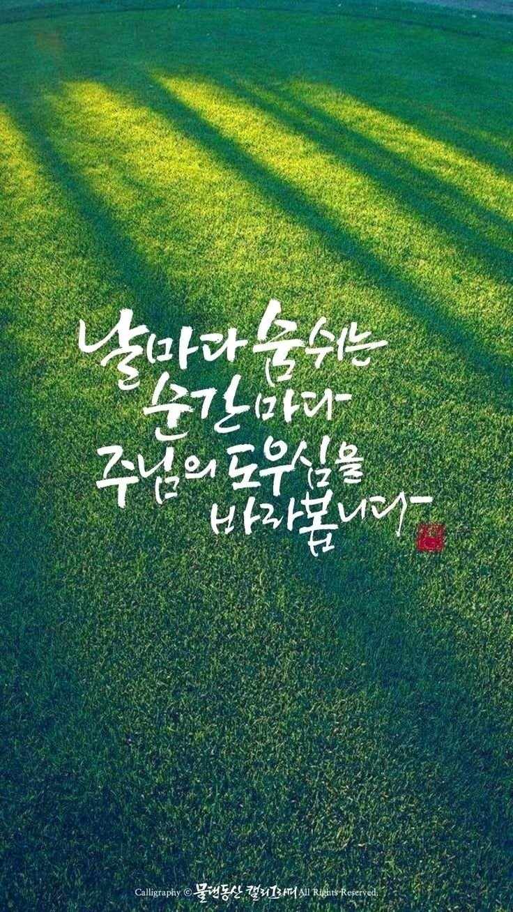 꽃피는하루 이미지