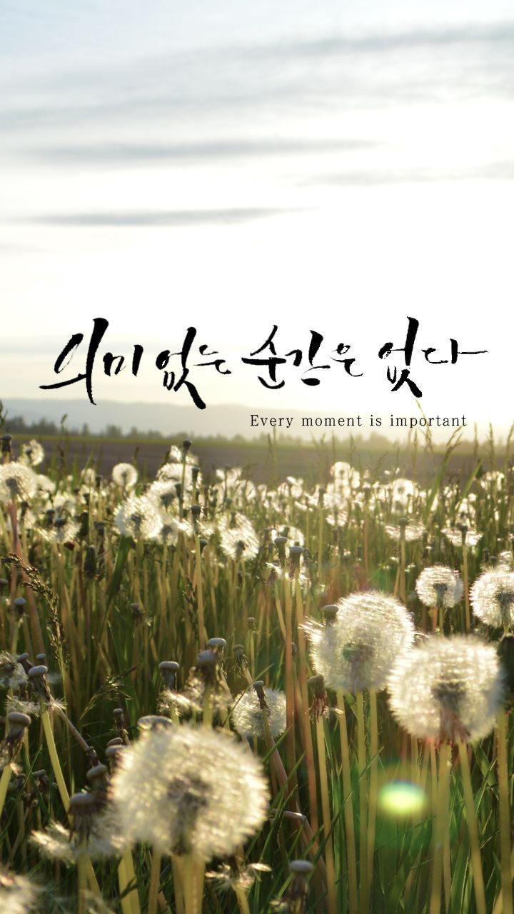 지혜 이미지