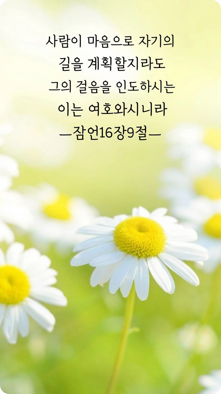 보배 이미지
