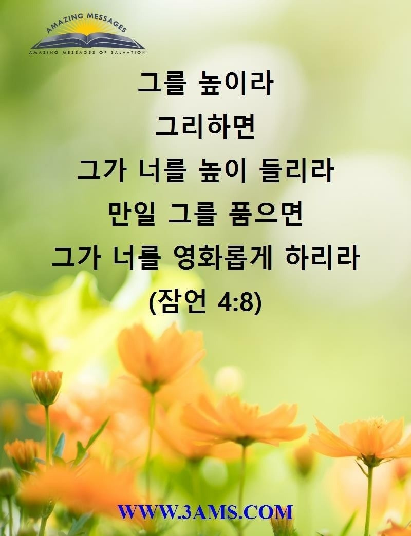 사랑이야기 이미지