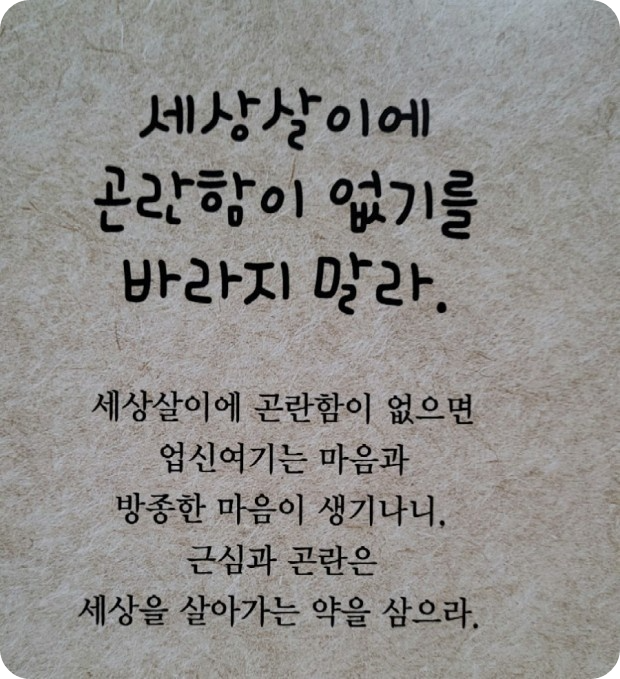 봄봄봄 이미지