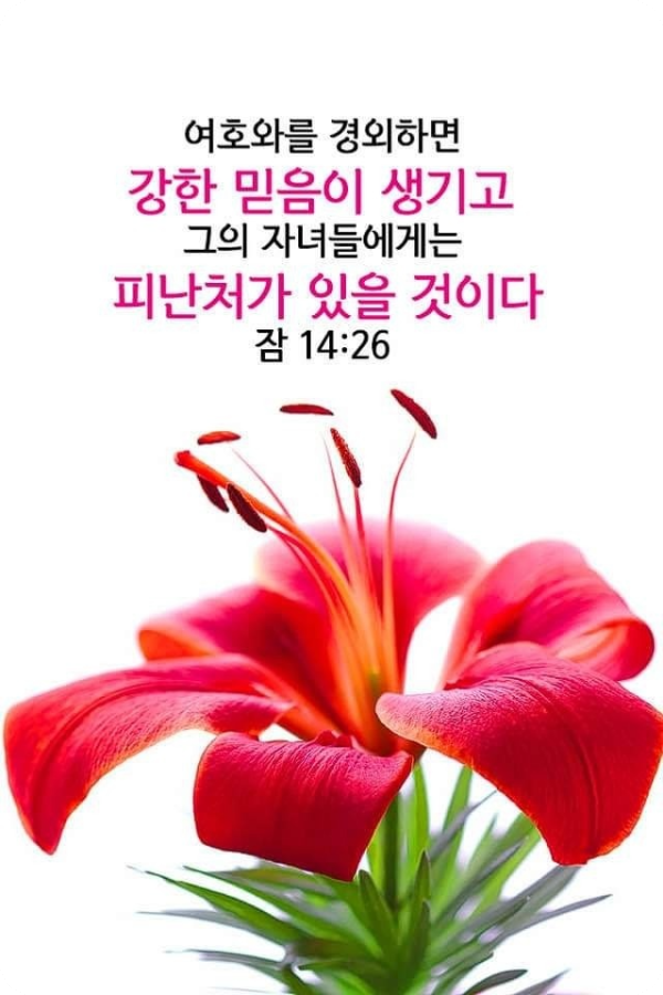 약속의땅 이미지