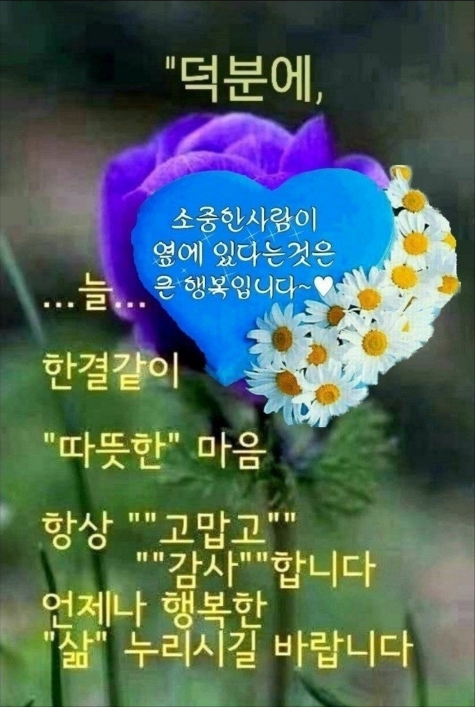 꿍따리 이미지