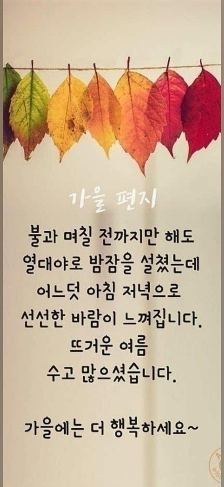 빵빠레 이미지
