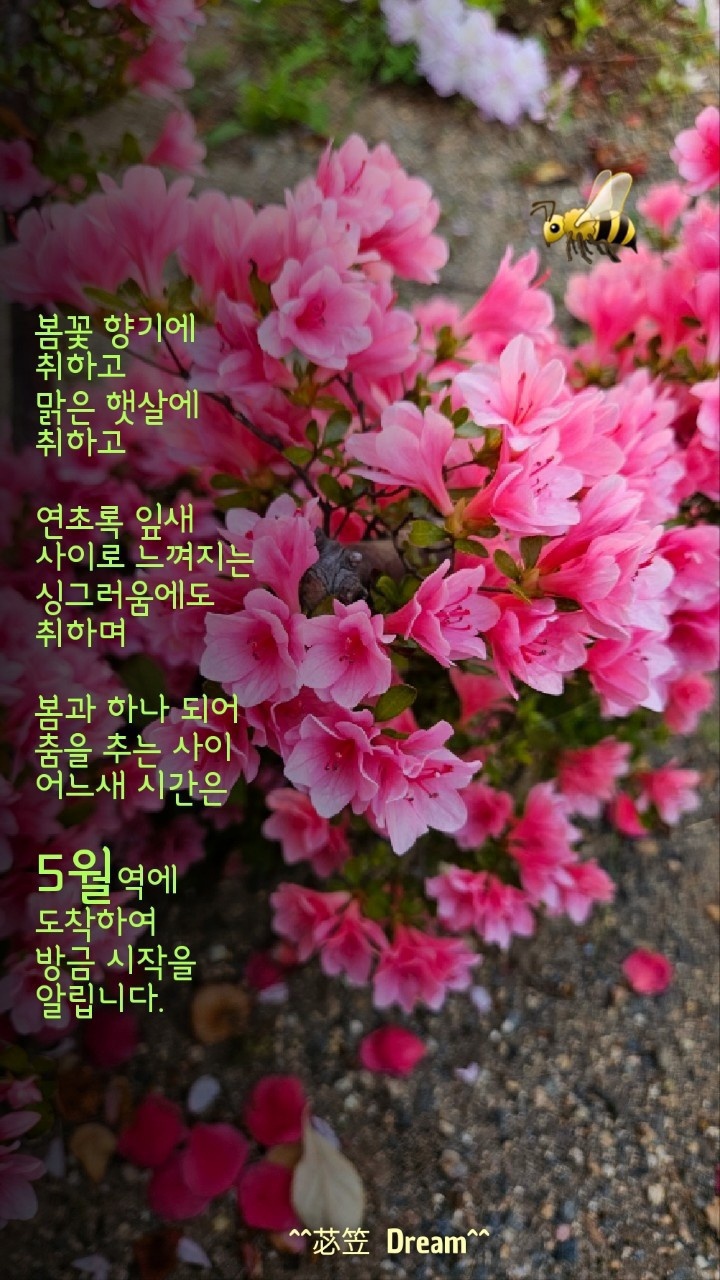 꿍따리 이미지
