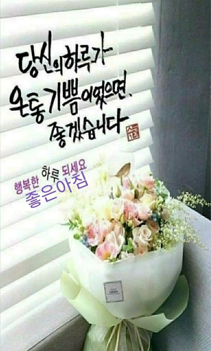 베리나이스 이미지