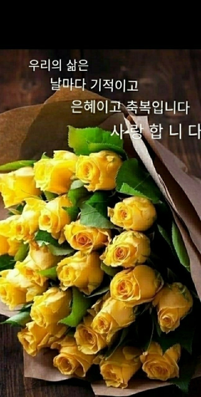 빵빠레 이미지