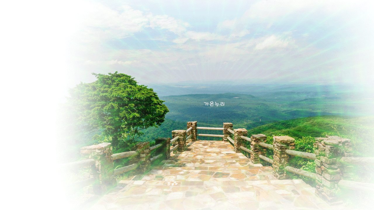 진산주 이미지