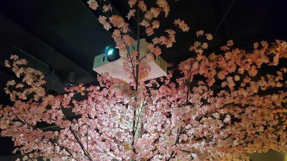 육꼬 이미지