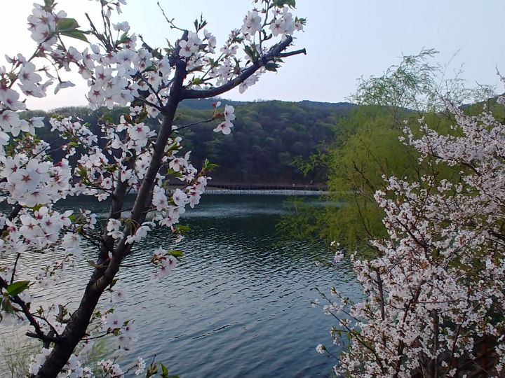 물댄동산 이미지