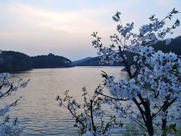 물댄동산 이미지